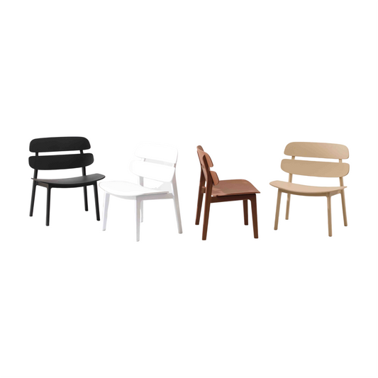 Modern Home Leisure Chair.BD-031X