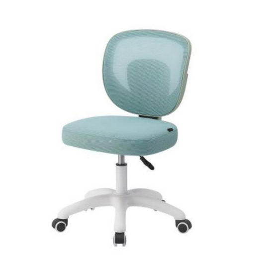 Ergonomic Design Office Chair with Wheels.TM35