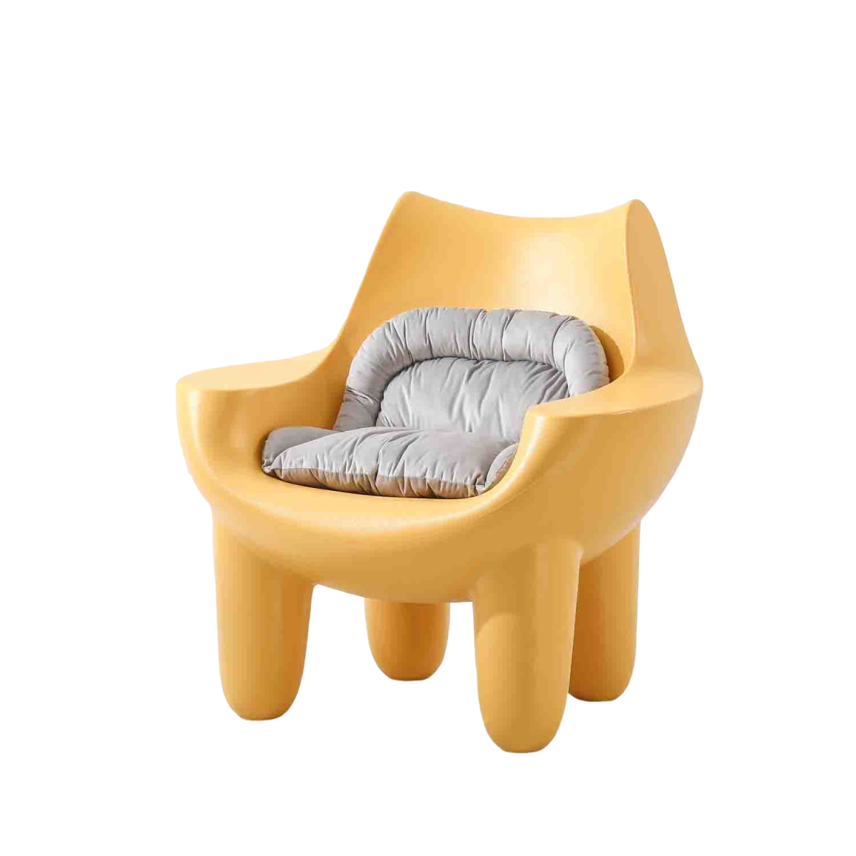 Modern Stylish Home Lounge Chair with Cushion.BG-003 (with Cushion)