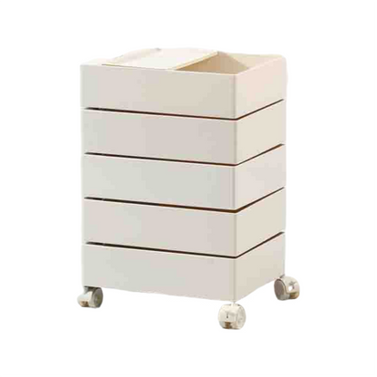 Versatile Organizer Shelf.B320