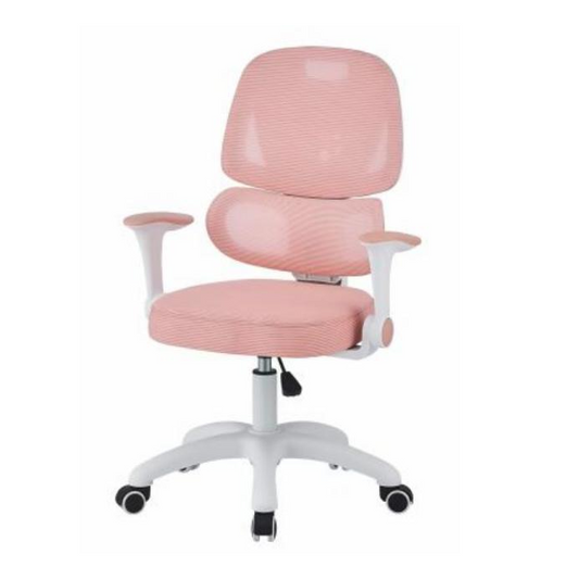 Ergonomic Design Office Chair with Wheels.TM21